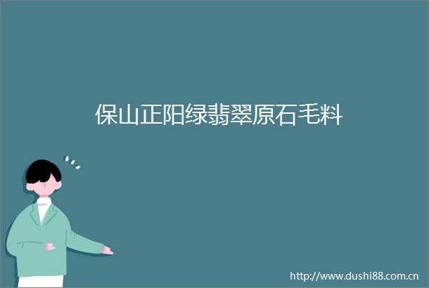 保山正阳绿翡翠原石毛料