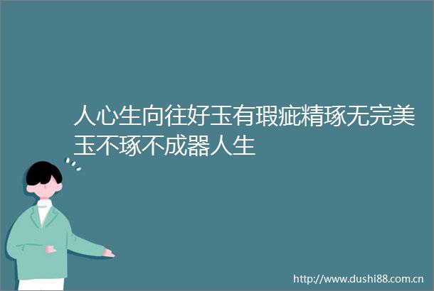 人心生向往好玉有瑕疵精琢无完美玉不琢不成器人生