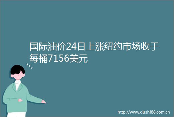 国际油价24日上涨纽约市场收于每桶7156美元