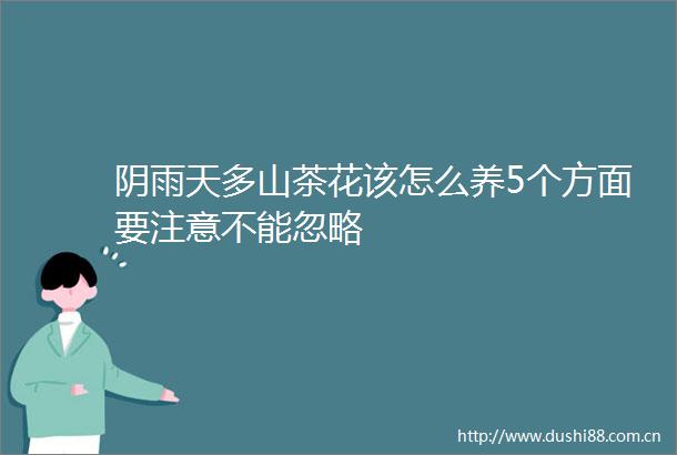 阴雨天多山茶花该怎么养5个方面要注意不能忽略