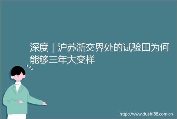 深度｜沪苏浙交界处的试验田为何能够三年大变样