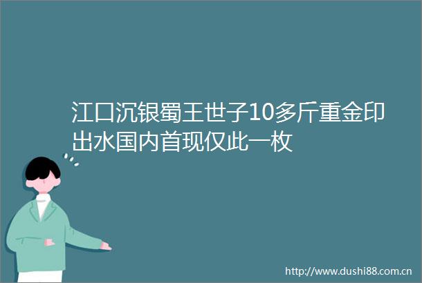 江口沉银蜀王世子10多斤重金印出水国内首现仅此一枚