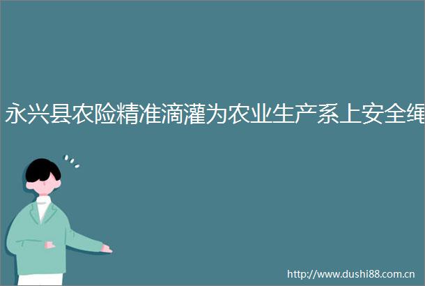永兴县农险精准滴灌为农业生产系上安全绳