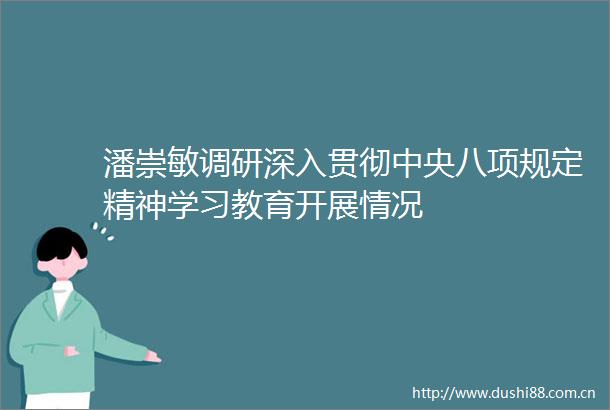 潘崇敏调研深入贯彻中央八项规定精神学习教育开展情况