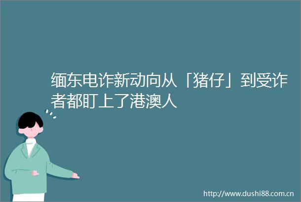 缅东电诈新动向从「猪仔」到受诈者都盯上了港澳人