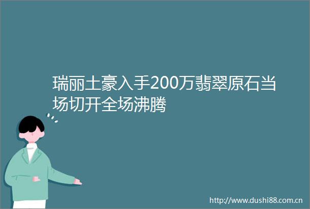瑞丽土豪入手200万翡翠原石当场切开全场沸腾