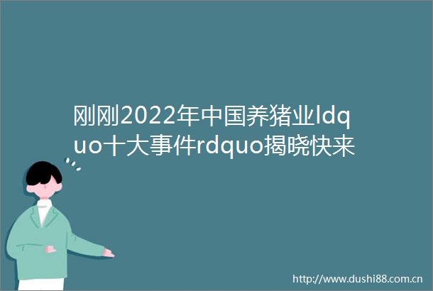 刚刚2022年养猪业ldquo十大rdquo揭晓快来看看都有哪些年度盘点①