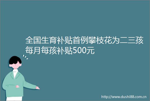 全国生育补贴首例攀枝花为二三孩每月每孩补贴500元