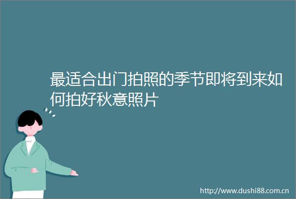 最适合出门拍照的季节即将到来如何拍好秋意照片