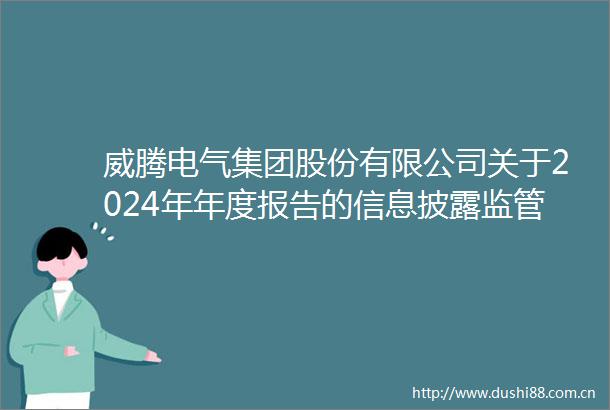 威腾电气集团股份有限公司关于2024年年度报告的信息披露监管问询函的回复公告