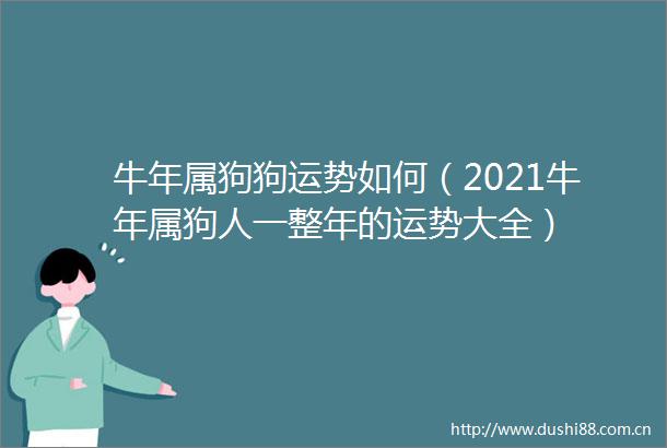 牛年属狗狗运势如何（2021牛年属狗人一整年的运势大全）