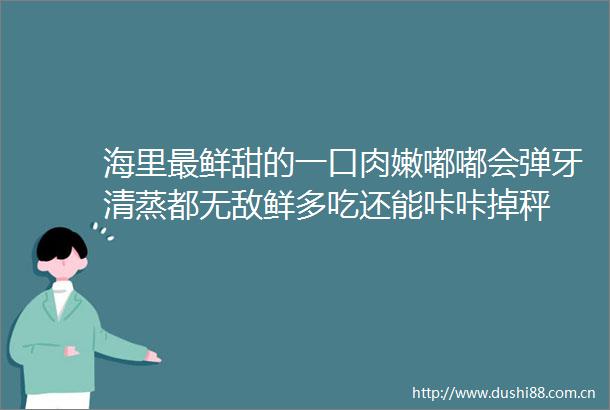 海里最鲜甜的一口肉嫩嘟嘟会弹牙清蒸都无敌鲜多吃还能咔咔掉秤