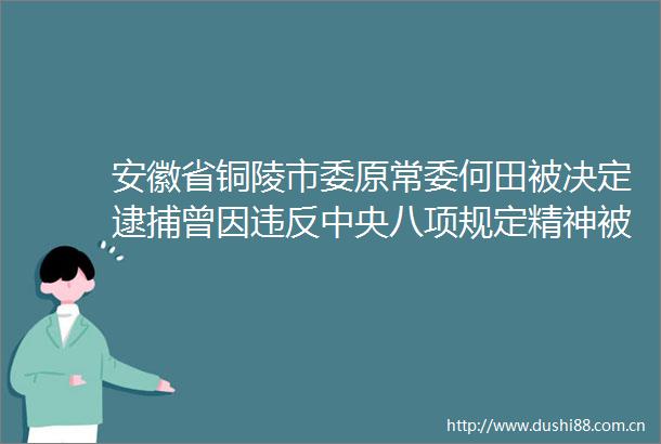 安徽省铜陵市委原常委何田被决定逮捕曾因违反中央八项规定精神被公开通报