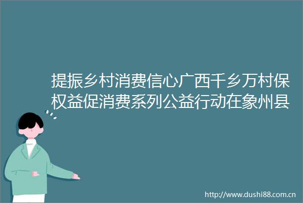 提振乡村消费信心广西千乡万村保权益促消费系列公益行动在象州县石龙镇拉开序幕