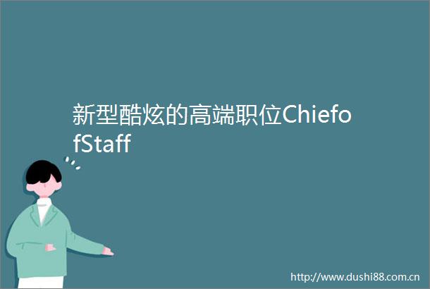 新型酷炫的高端职位ChiefofStaff