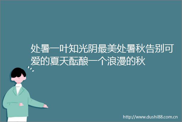 处暑一叶知光阴最美处暑秋告别可爱的夏天酝酿一个浪漫的秋