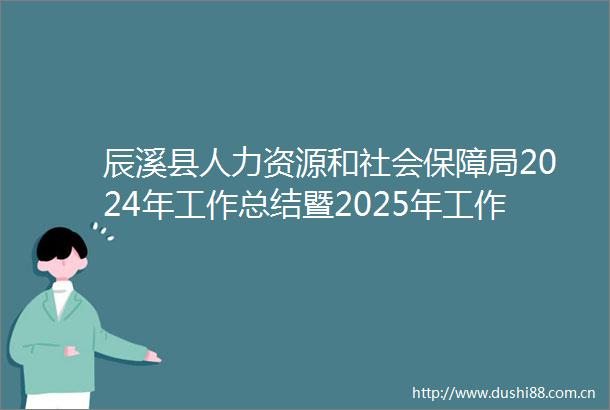 辰溪县人力资源和社会保障局2024年工作总结暨2025年工作计划