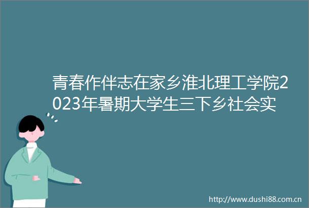 青春作伴志在家乡淮北理工学院2023年暑期大学生三下乡社会实践活动圆满收官