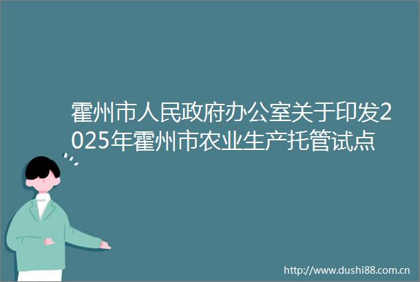 霍州市办公室关于印发2025年霍州市农业生产托管试点项目组织实施方案的通知