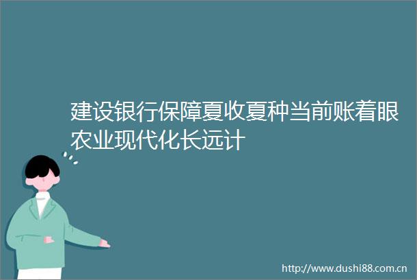 建设银行保障夏收夏种当前账着眼农业现代化长远计