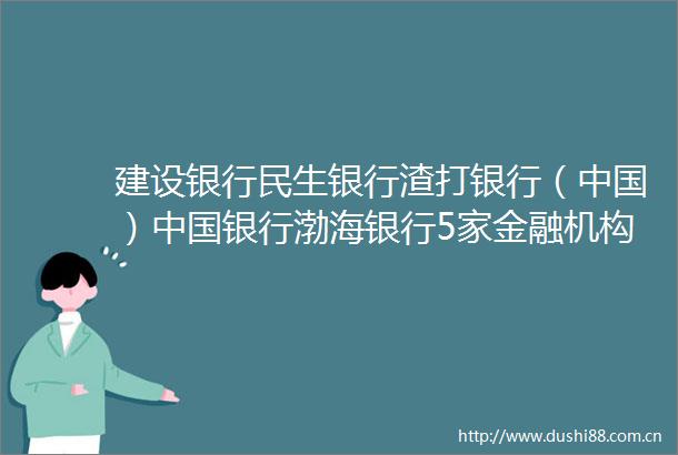 建设银行民生银行渣打银行（）银行渤海银行5家金融机构