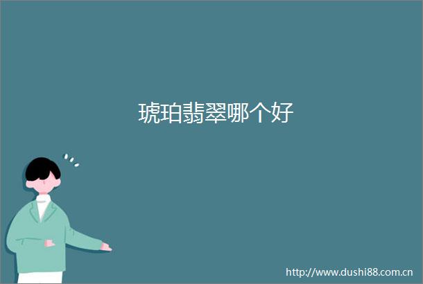 琥珀翡翠哪个好