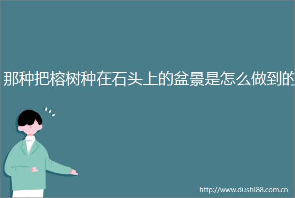 那种把榕树种在石头上的盆景是怎么做到的