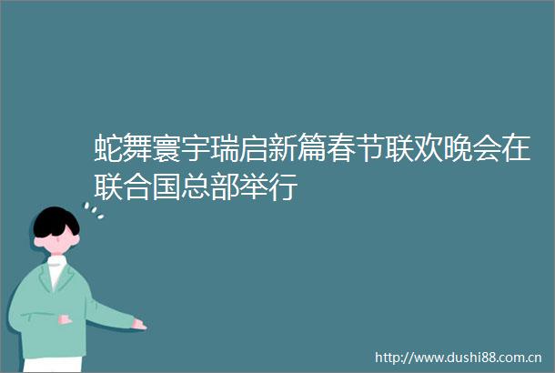 蛇舞寰宇瑞启新篇春节联欢晚会在联合国总部举行