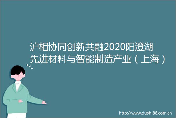 沪相协同创新共融2020阳澄湖先进材料与智能制造产业（上海）投资环境推介会成功举行