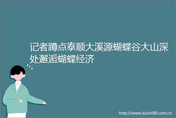 记者蹲点泰顺大溪源蝴蝶谷大山深处邂逅蝴蝶经济