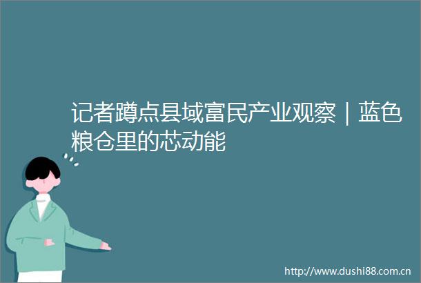 记者蹲点县域富民产业观察｜蓝色粮仓里的芯动能