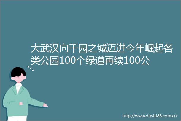 大武汉向千园之城迈进今年崛起各类公园100个绿道再续100公里