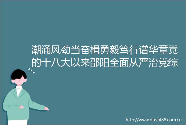 潮涌风劲当奋楫勇毅笃行谱华章党的十八大以来邵阳全面从严治党综述