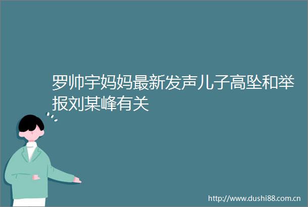 罗帅宇妈妈最新发声儿子高坠和刘某峰有关