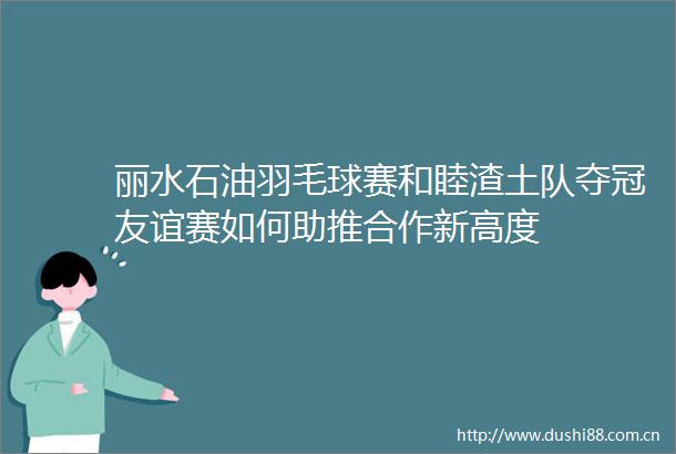 丽水石油羽毛球赛和睦渣土队夺冠友谊赛如何助推合作新高度