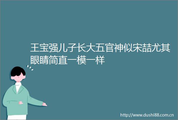 王宝强儿子长大五官神似宋喆尤其眼睛简直一模一样