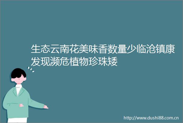 生态云南花美味香数量少临沧镇康发现濒危植物珍珠矮