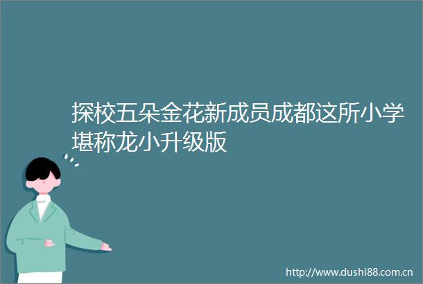 探校五朵金花新成员成都这所小学堪称龙小升级版