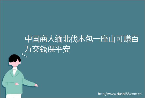 商人缅北伐木包一座山可赚百万交钱保平安