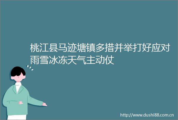 桃江县马迹塘镇多措并举打好应对雨雪冰冻天气主动仗