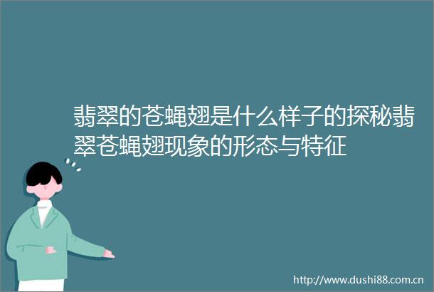 翡翠的苍蝇翅是什么样子的探秘翡翠苍蝇翅现象的形态与特征