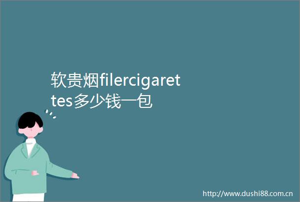 软贵烟filercigarettes多少钱一包