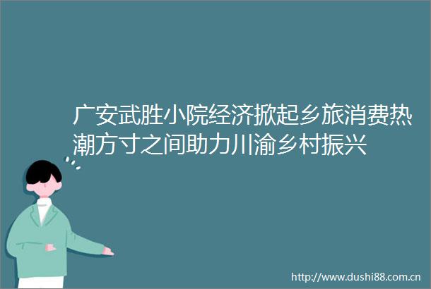 广安武胜小院经济掀起乡旅消费热潮方寸之间助力川渝乡村振兴