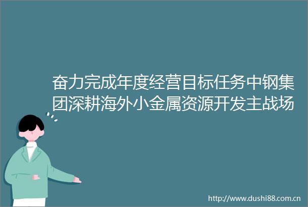 奋力完成年度经营目标任务中钢集团深耕海外小金属资源开发主战场提升战略性资源供应保障能力