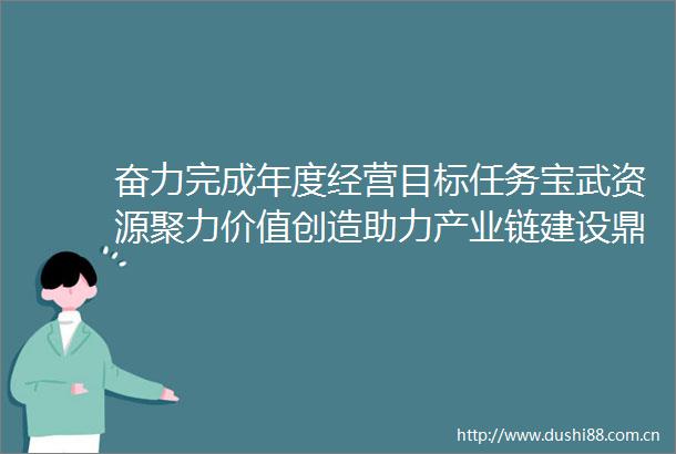 奋力完成年度经营目标任务宝武资源聚力价值创造助力产业链建设鼎力当好宝武压舱石
