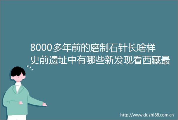8000多年前的磨制石针长啥样史前遗址中有哪些新发现看西藏最新考古成果