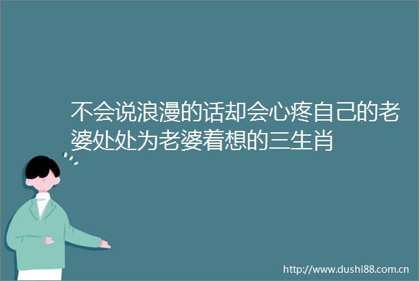 不会说浪漫的话却会心疼自己的老婆处处为老婆着想的三生肖