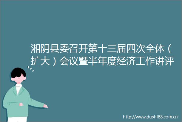 湘阴县委召开第十三届四次全体（扩大）会议暨半年度经济工作讲评会