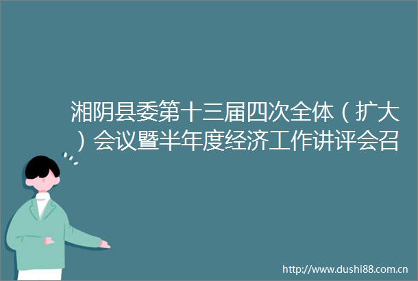 湘阴县委第十三届四次全体（扩大）会议暨半年度经济工作讲评会召开