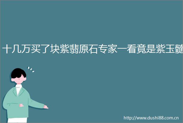 十几万买了块紫翡原石专家一看竟是紫玉髓